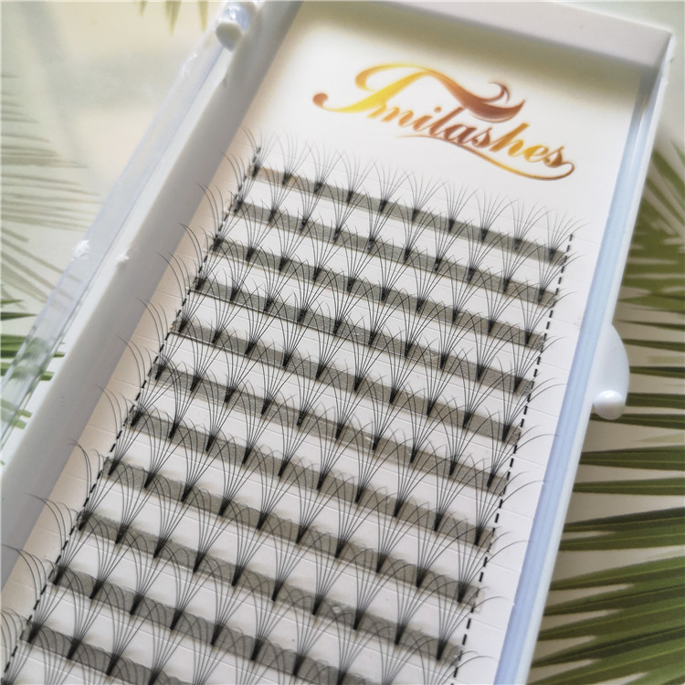 6d premade volume eyelash extensions - A